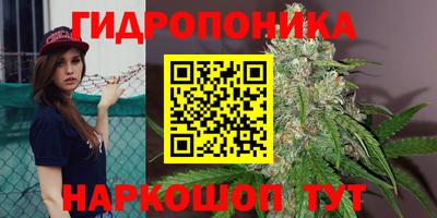 хмурый Лесосибирск