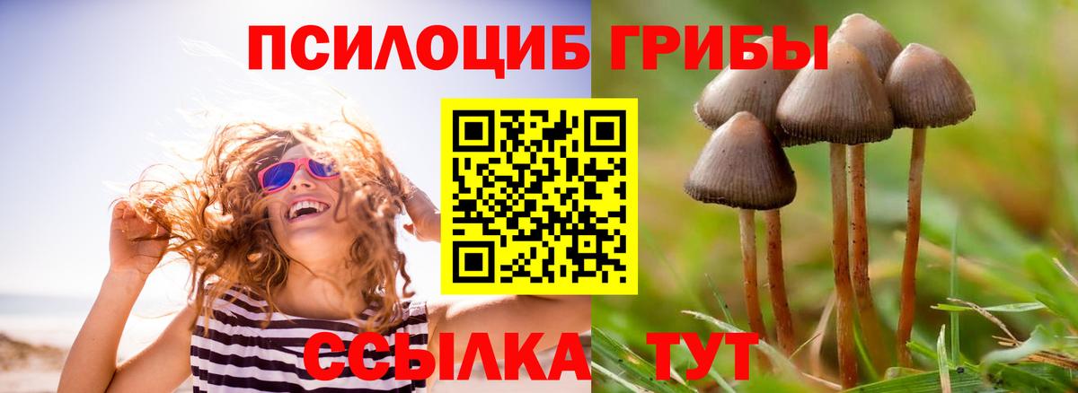Псилоцибиновые грибы GOLDEN TEACHER  Псилоцибиновые грибы MAGIC MUSHROOMS  Вход с VPN  купить   Ижевск 